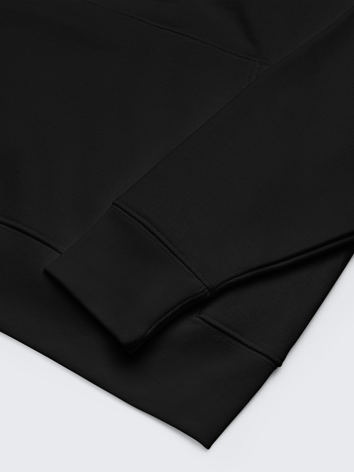 PSTV Logo Heavyweight Hoodie (Black)